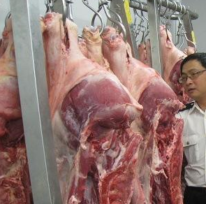 樱桃视频在线播放設備廠家