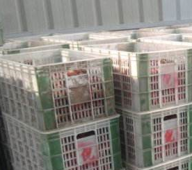 樱桃视频在线播放廠家直銷