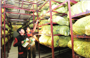 樱桃视频在线播放廠家維修