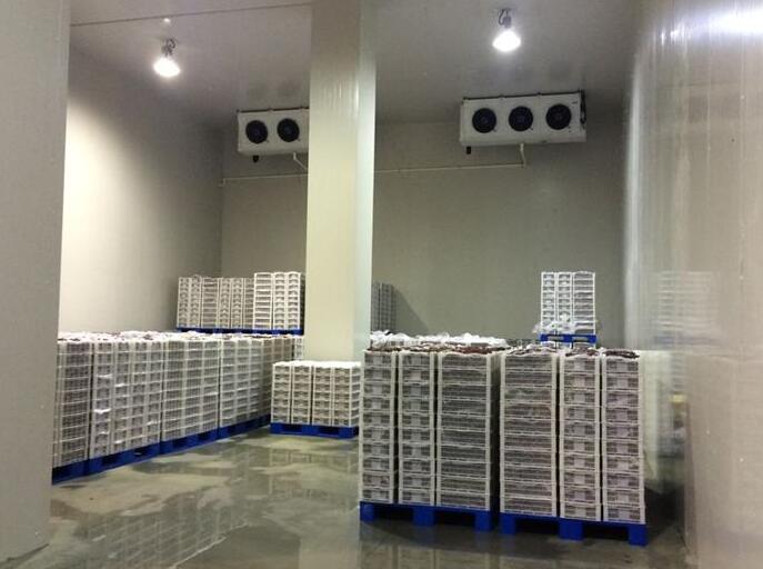 冷庫建造類型有幾種？樱桃视频在线播放的價格組成部分？